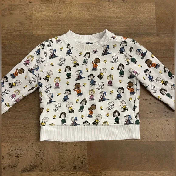 Janie and Jack Sweatshirt Size 2T - Picture 1 of 7